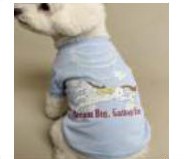 Embroidered Blue Dog Vest
