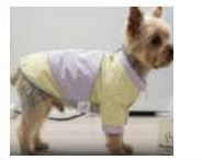 Pastel Colorblock Dog Hoodie