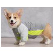 Everyday Cotton Dog Jumper