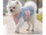 Quilted Pink Dog Jacket