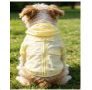 Sunshine Yellow Dog Hoodie