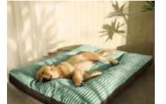 Bamboo Cooling Sleep Mat