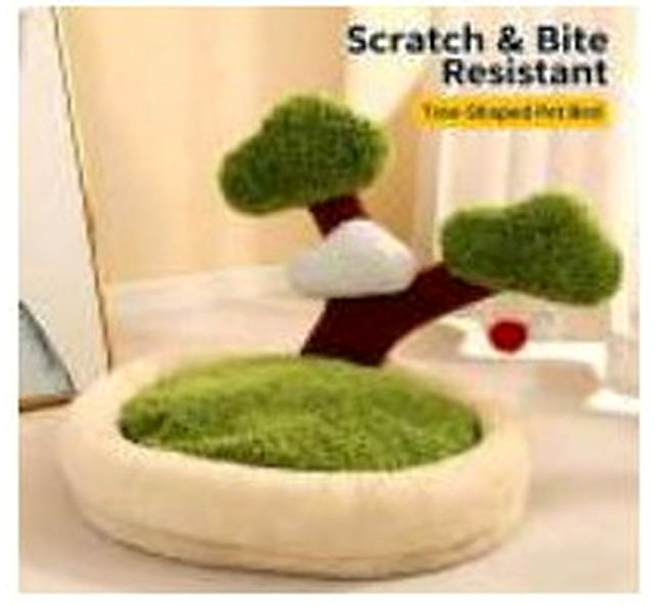 Money Tree - Round Base