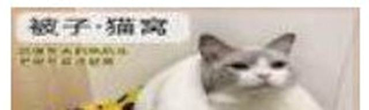 Cat Sleepi