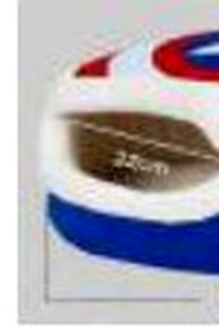 Captain America Themed Pet Bed