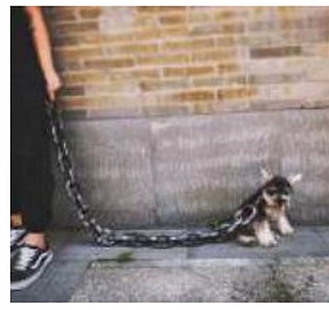 Fake Prop Chain